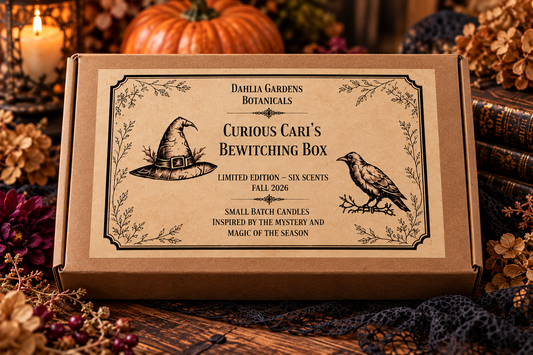 Curious Cari's Bewitching Box