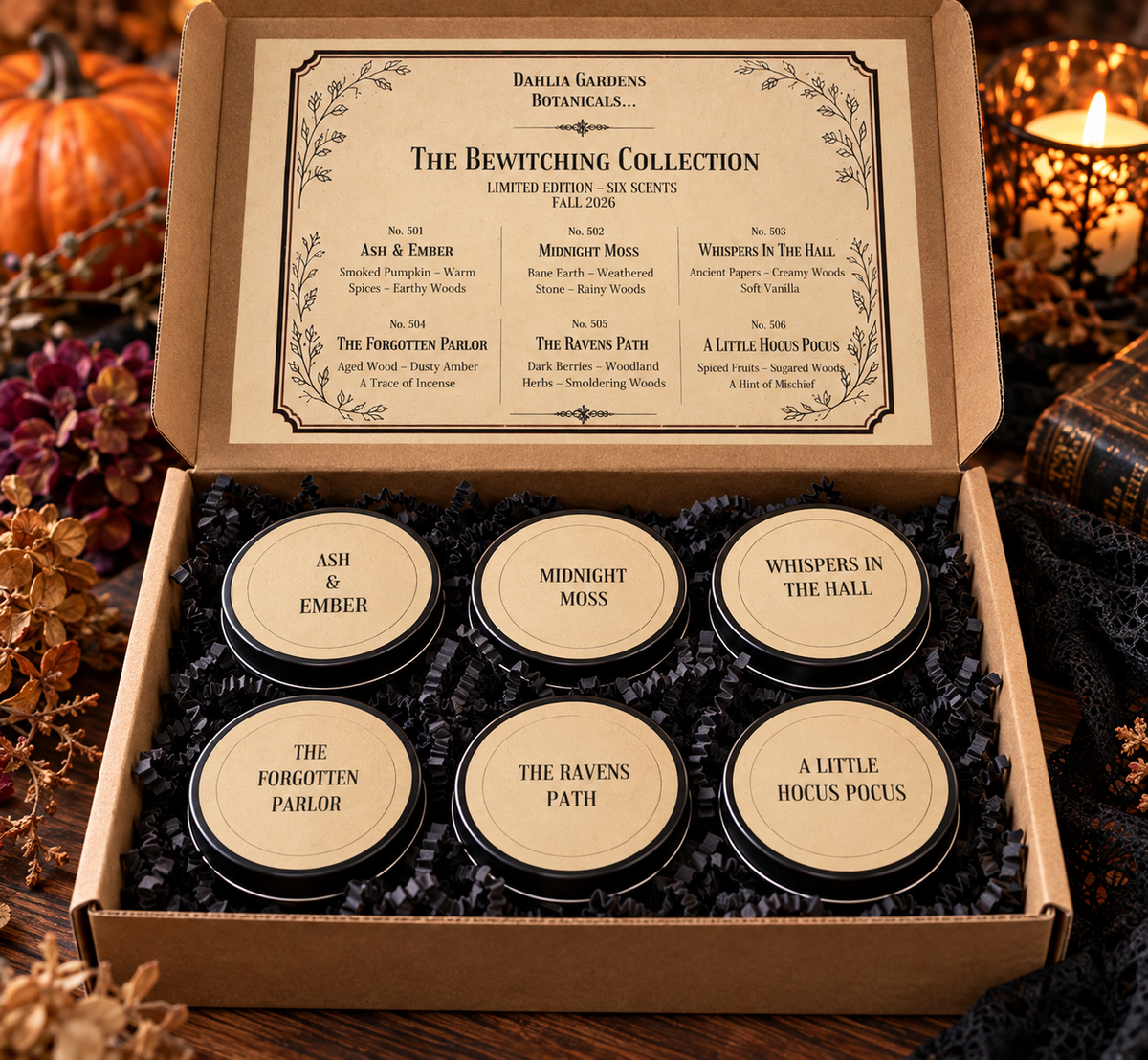 Curious Cari's Bewitching Box